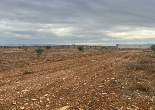 Terrain agricole à vendre