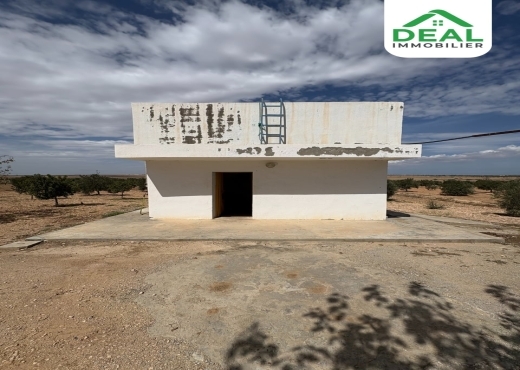 Seniya de 4 hectare et 5000 m² à vendre