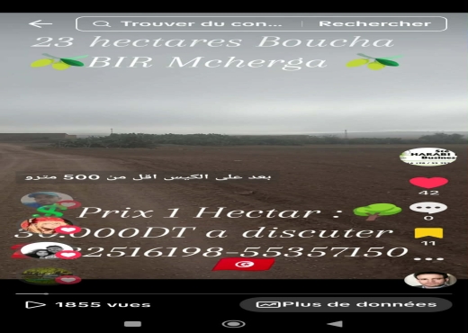 23 hectares excellentes sol fertil
