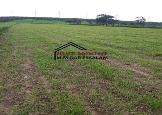 terrain agricole près de la plage