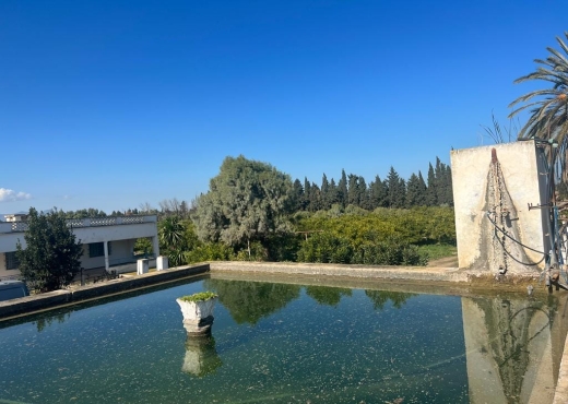 à vendre à soliman