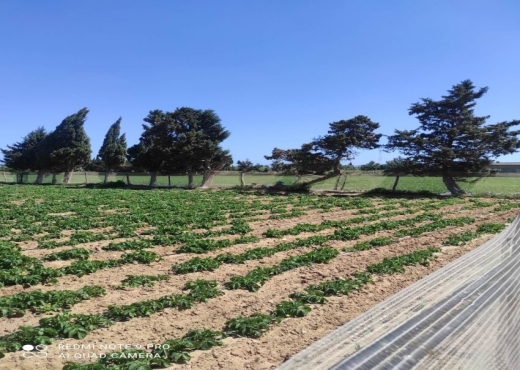 A VENDRE TERRAIN AGRICOLE 3M015/25