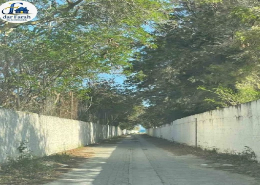 studio À Louer à NABEUL - Studio Bousten - Immobiliere.tn - Photo 4