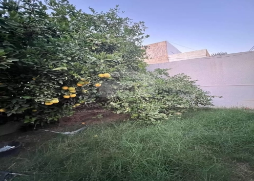 A Vendre Maison S+3 Cite Riadh