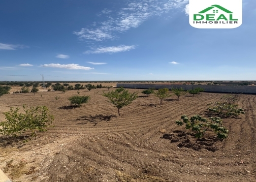 A vendre Ferme Olivier à Msaken