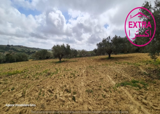 Campagne à El Haouaria de Nabeul