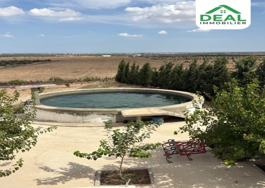 Seniya de 4 hectare et 5000 m² à vendre