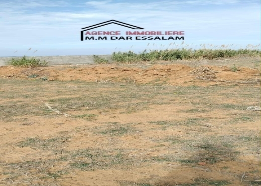 terrain près de la mer à vendre