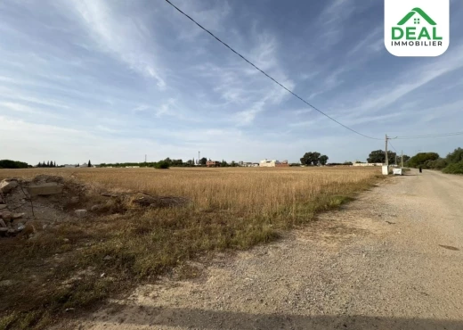 terrain À Vendre à SOUSSE - Lotissement de 6 hectare et demi à Kroussia - Immobiliere.tn - Photo 4