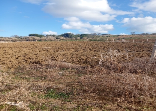 📍🌿 Terrain 2329 m² à Béjou – Ghar El Melh