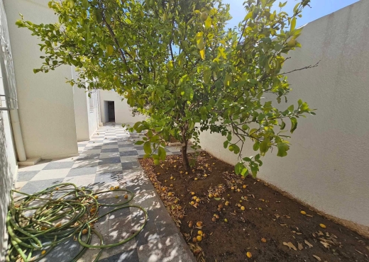 📍 EL GHAZELA : VILLA À VENDRE