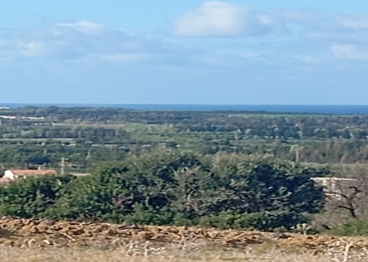 📍🌿 Terrain 2329 m² à Béjou – Ghar El Melh