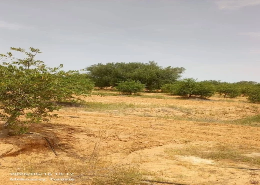 terrain À Vendre à SIDI BOUZID - Ferme modèle à vendre - Immobiliere.tn - Photo 2