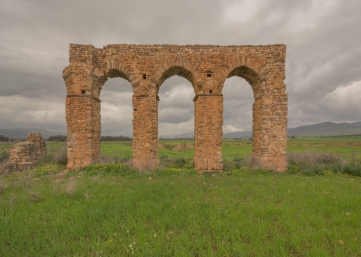 terrain À Vendre à JENDOUBA - أرض للبيع - Immobiliere.tn