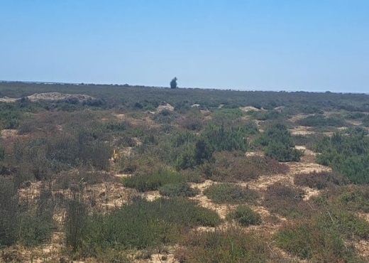 av 1000m khomssa hamammet sud