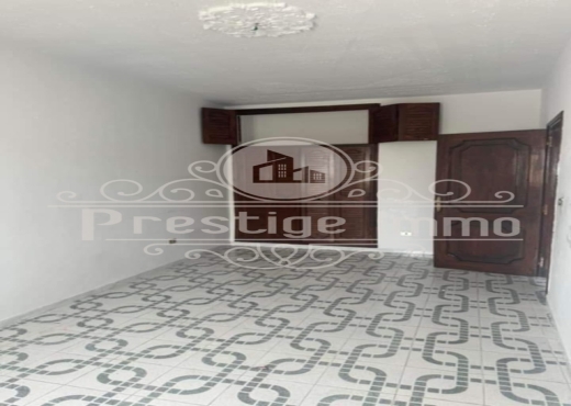 spacieux appartement