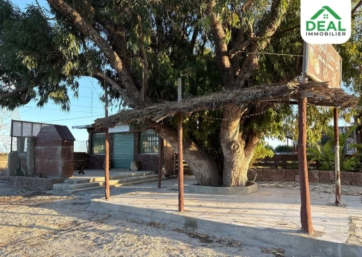 ferme À Vendre à SOUSSE - Opportunité d’investissement à vendre - Immobiliere.tn - Photo 11