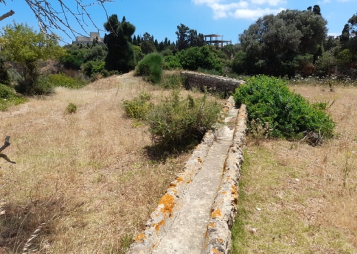 Terrain a raf raf  9300m²