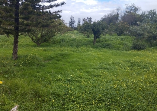 للبيع فيرمة جاهزة + فيلا