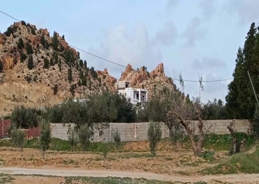 terrain À Vendre à NABEUL - Terrain agricole à vendre - Immobiliere.tn - Photo 5