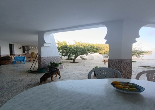 للبيع فيرما في دار علوش قليبية