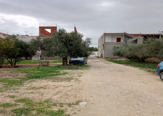 terrain à sidi salah