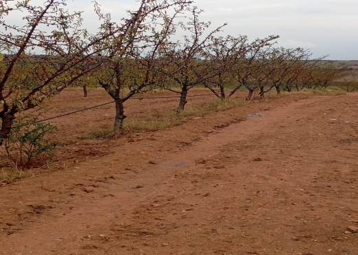 🚜 Terrain productif avec bâtiments