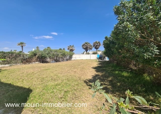 MAISON ROSETTE El Maamoura AV1533