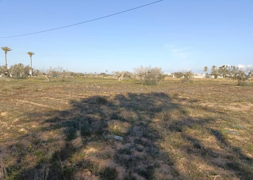 A Vendre Terrain Rte houmet Souk