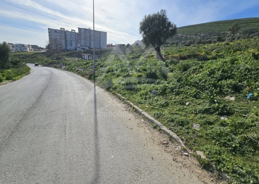 A  Vendre Terrain Bhira Bizerte