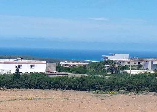 A Vendre 2 lots Terrain Ain Berda