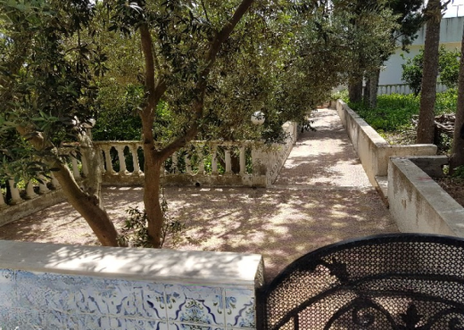 Maison de campagne 5000 m²  Ras je