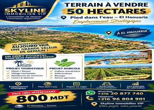 terrain À Vendre à NABEUL - TERRAIN EXCEPTIONNEL À VENDRE – EL HAOUARIA | 50 H - Immobiliere.tn
