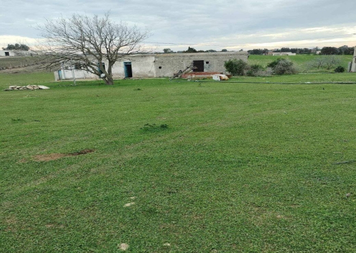 terrain agricole à vendre