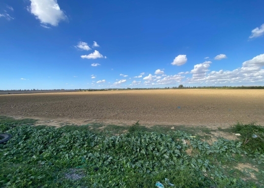 un superbe terrain agricole à sidi thabet