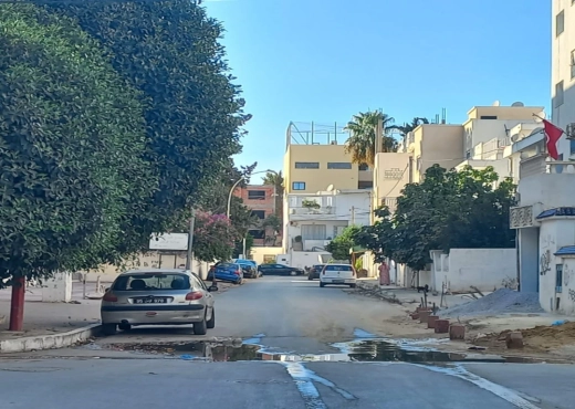 villa À Vendre à TUNIS - Vente immobilière - Immobiliere.tn - Photo 2