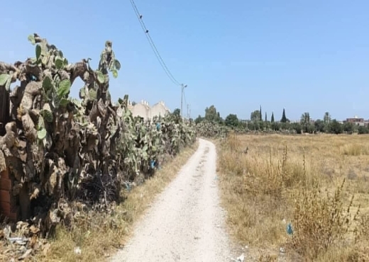 للبيع: أرض فلاحية في المكنين