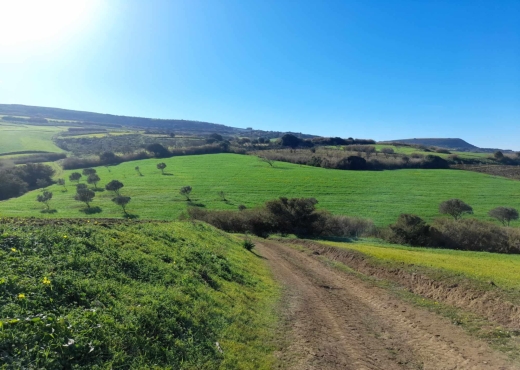 Terrain  à  raf raf  de 2400m²
