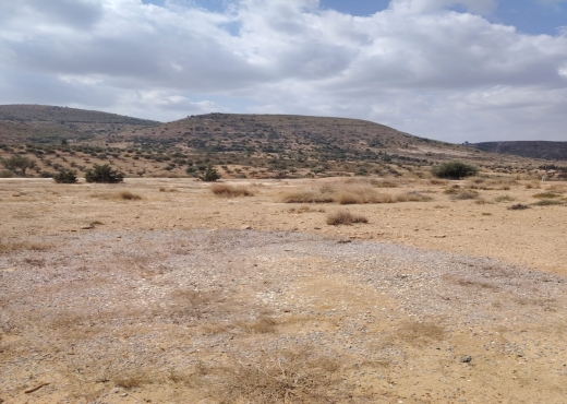 A vendre terrain a Jabes