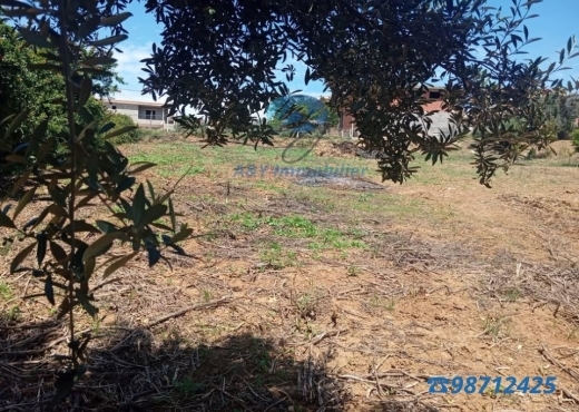 Maison spacieuse avec grand terrain 🌳🍋