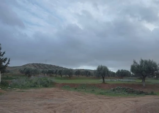 terrain À Vendre à ARIANA - A vendre un très beau terrain  à Sidi Thabet - Immobiliere.tn