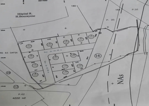 A Vendre Lots Terrains a Gafsa