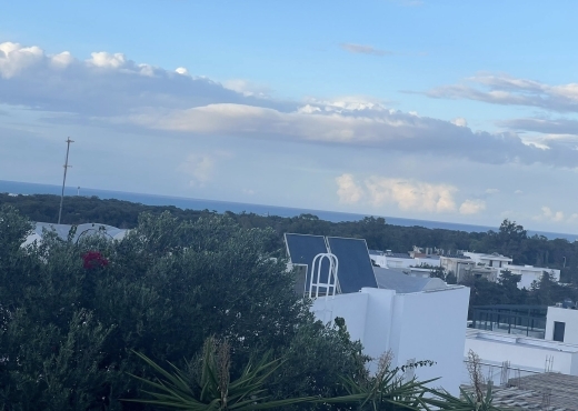 A Louer Grande Villa Gammarth Superieur