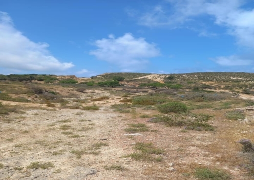 🏝️ Terrain Exceptionnel à Rafraf