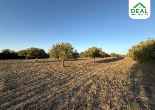 terrain À Vendre à SOUSSE - للبيع : أرض فلاحية - Immobiliere.tn