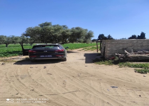 A VENDRE TERRAIN AGRICOLE 3M015/25