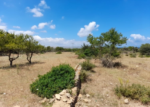 terrain À Vendre à BIZERTE - Terrain a raf raf  9300m² - Immobiliere.tn - Photo 2