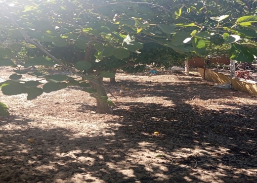 Opportunité Rare 🌅 Terrain 1 ha + 1000 m²