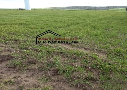 terrain agricole près de la plage