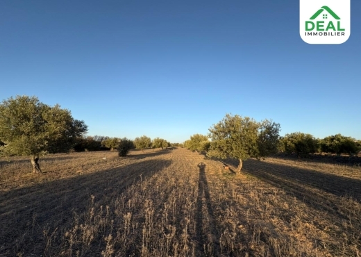 terrain À Vendre à SOUSSE - للبيع : أرض فلاحية - Immobiliere.tn - Photo 2